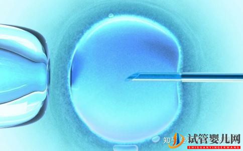 什么是試管受精試管受精的具體步驟有哪些(圖2)