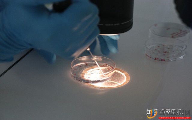 三代試管步驟一般需要多長時間(圖3)