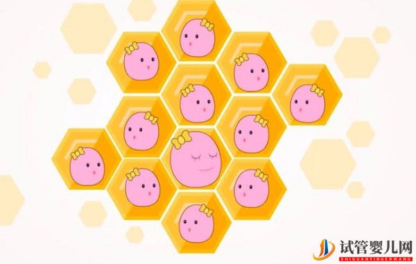 什么是試管嬰兒黃金時期(圖1)