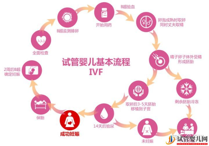 什么是試管嬰兒一張圖告知你(圖1)