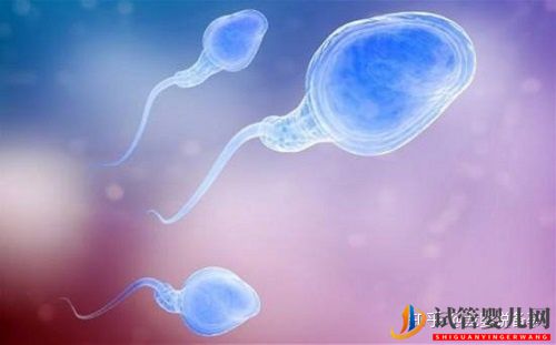 試管嬰兒男性取精的全部過程,或許跟你想的不一樣!(圖3)