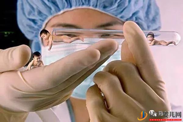 試管嬰兒過程是怎樣的？有最詳細的試管解說步驟！(圖1)