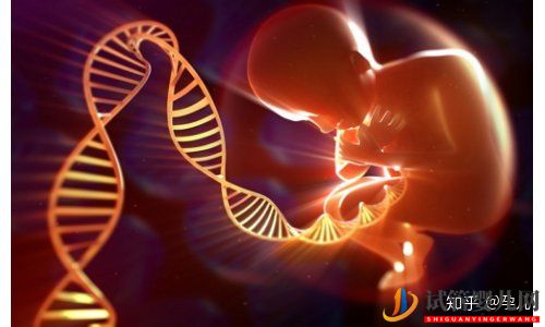 試管嬰兒的費(fèi)用是多少(圖2)