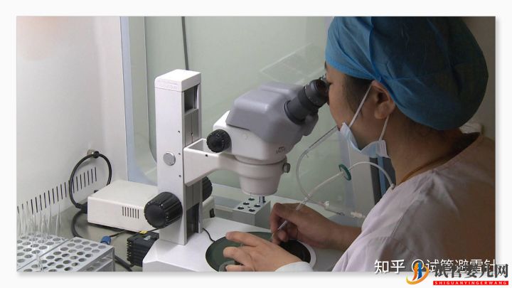 試管嬰兒費用大約多少——最全面的費用詳解(圖1)