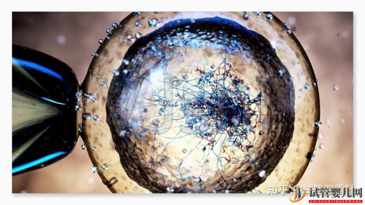 試管嬰兒費用大約多少——最全面的費用詳解(圖4)