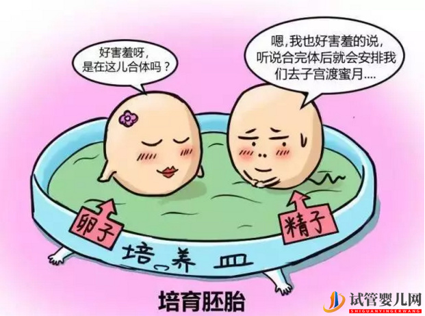 試管嬰兒進行時，老公們應該如何做？(圖1)