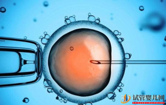 烏海試管嬰兒是怎么做的_一分鐘帶你看懂全過程(圖4)