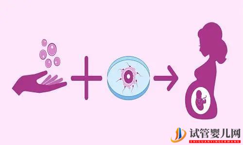 一文讀懂試管嬰兒全過程(圖1)