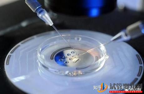 做試管嬰兒的全過程,一切順利的話(圖8)