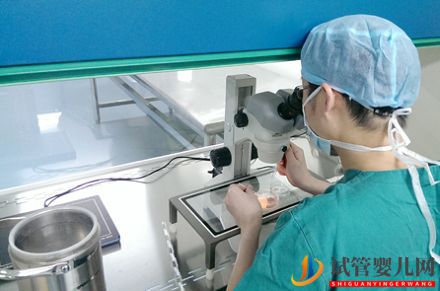 凍胚移植的全過程(圖2)