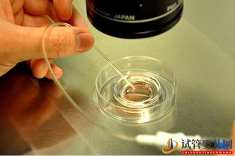 凍胚移植的全過程(圖3)