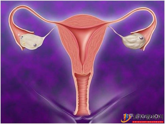 做試管卵泡正常內(nèi)膜厚度多少才正常_90%的患者不知道(圖2)
