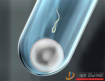 試管嬰兒的歷史及其發展過程(圖1)