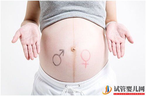 試管嬰兒的歷史及其發展過程(圖14)