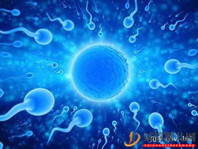 試管嬰兒的歷史及其發展過程(圖20)