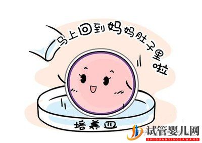 女性太偉大了!試管嬰兒全過程操作步驟(圖4)
