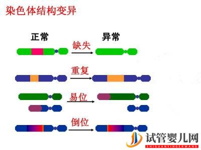 最全面的試管嬰兒介紹(圖6)