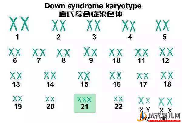 最全面的試管嬰兒介紹(圖3)