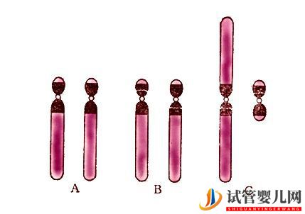 最全面的試管嬰兒介紹(圖5)