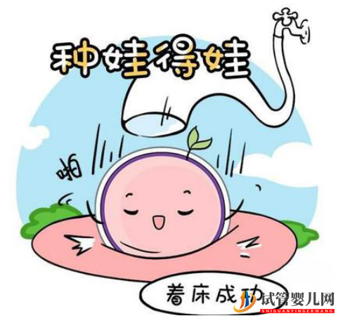 試管嬰兒胚胎數量由什么決定？(圖1)