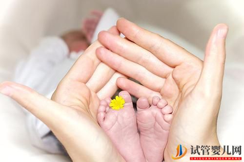 試管嬰兒胚胎移植后，有哪些因素會影響著床？(圖1)