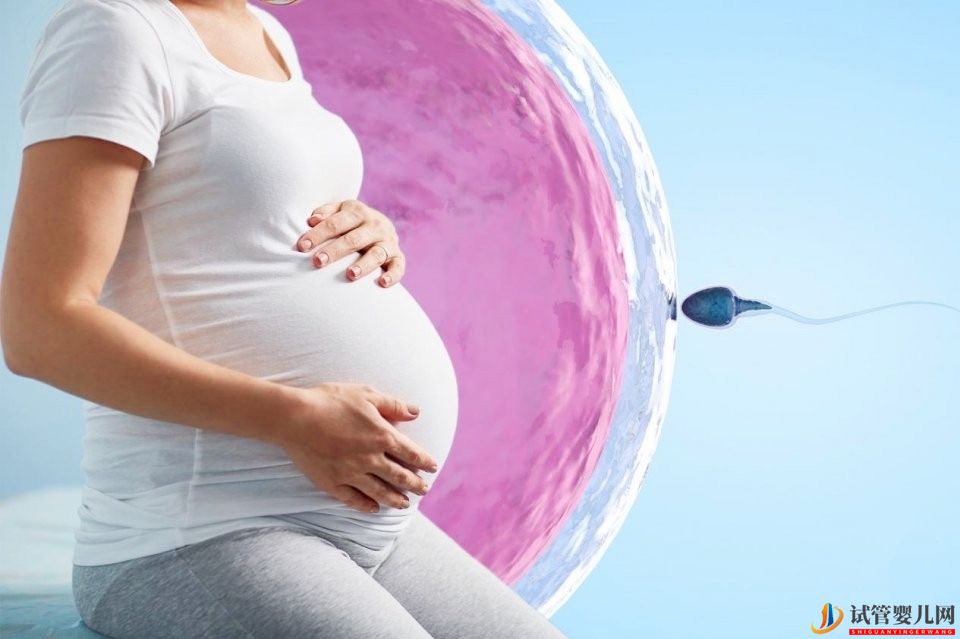 試管嬰兒胚胎移植之后,胚胎在做什么(圖1) 試管嬰兒胚胎移植之后,胚胎在做什么(圖1)