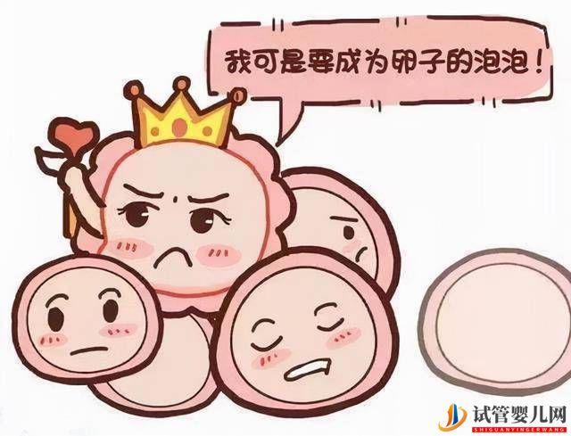 試管嬰兒取卵數量多少才是最好的？(圖1)