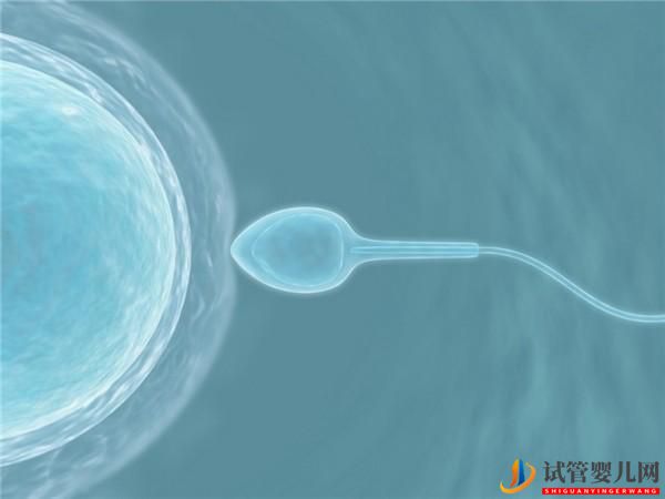 試管嬰兒是怎樣造出來的(圖2)