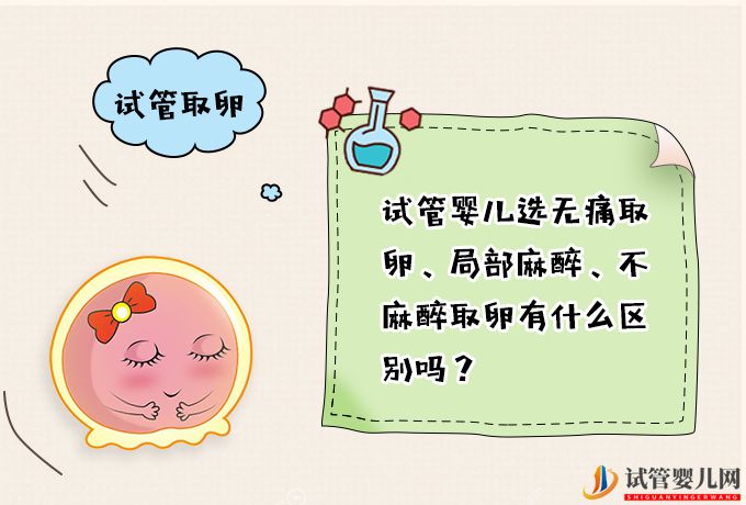 試管嬰兒選無痛取卵、局部麻醉、不麻醉取卵有什么區別嗎？(圖1)
