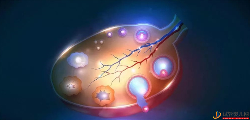 試管嬰兒一個周期下來需要多長時間(圖1)