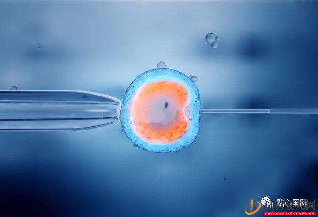 做試管嬰兒，我的成功率是多少？(圖1)