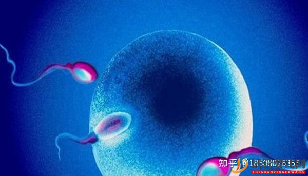 成都第三代試管嬰兒的費用是多少(圖1)