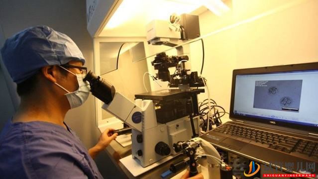 做試管嬰兒前檢查項目什么作用(圖2)