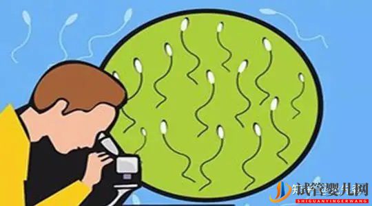 如何取精及注意事項(圖1)