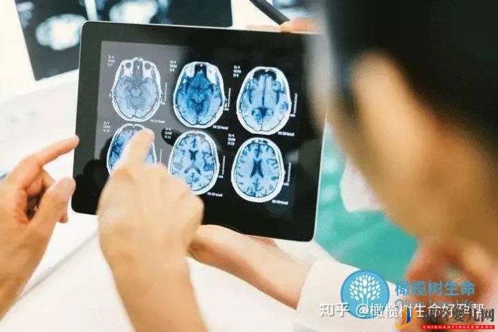 試管嬰兒必查項目性激素六項報告數值逐個(圖6)