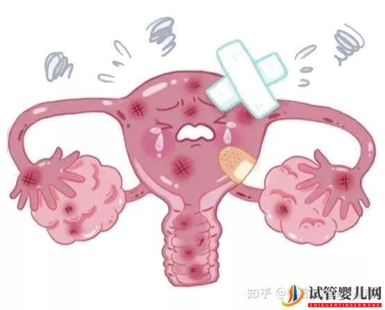 試管嬰兒必查項目性激素六項報告數值逐個(圖7)