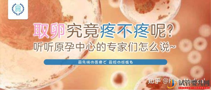 取卵究竟疼不疼呢_聽聽原孕中心的專家們怎么說(圖2)