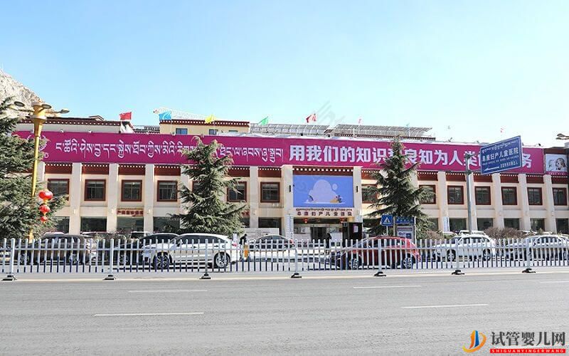 拉薩試管嬰兒醫院排名(圖2)