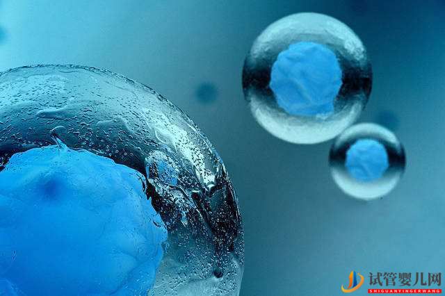 格魯吉亞試管嬰兒凍卵凍精凍胚胎可以儲存多久？(圖1)