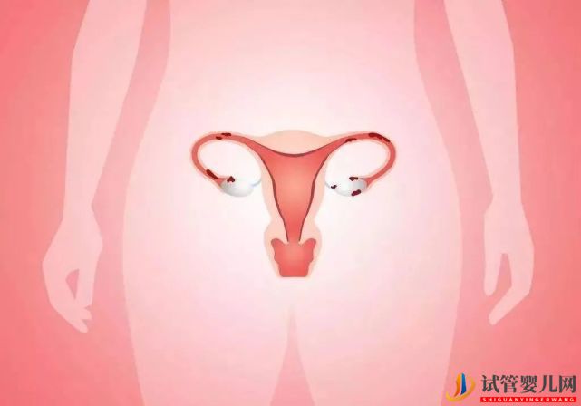 女性絕經后還可以做試管嬰兒嗎？(圖1)