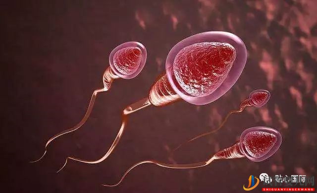 男性不育做試管嬰兒有希望當(dāng)爸爸嗎？(圖1)