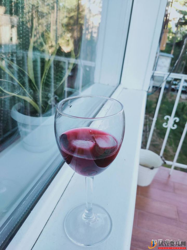 我的格魯吉亞試管嬰兒經歷9---接娃路(下)(圖1)