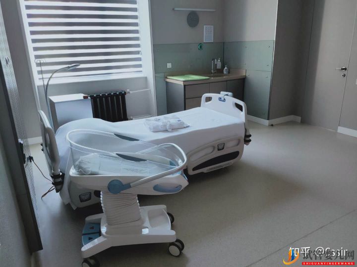 我的格魯吉亞試管嬰兒經歷9---接娃路(下)(圖4)