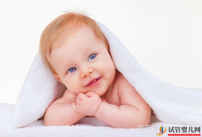 格魯吉亞助孕合法嗎(圖1)