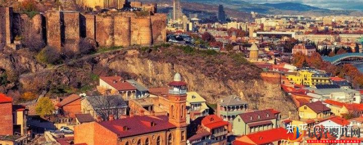 格魯吉亞試管版騙局!親注意哈!(圖1)