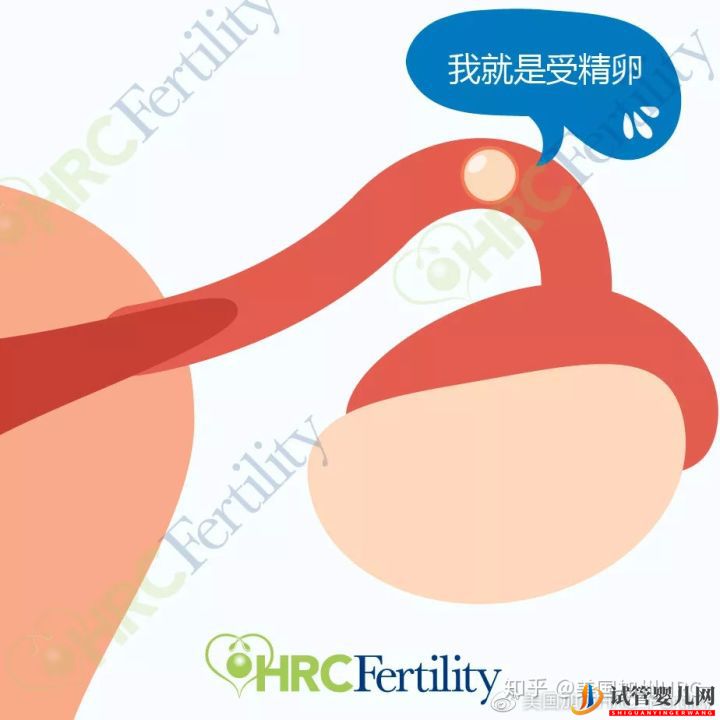 原來美國試管是這樣的美國試管(圖2)