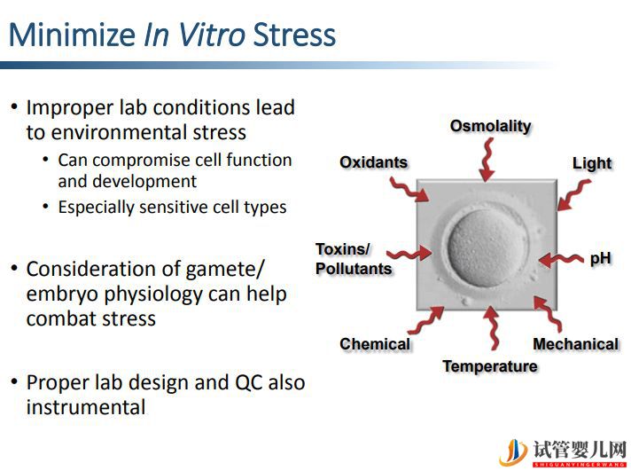 去美國做試管怎么選醫院續篇(圖32) 去美國做試管怎么選醫院續篇(圖32)