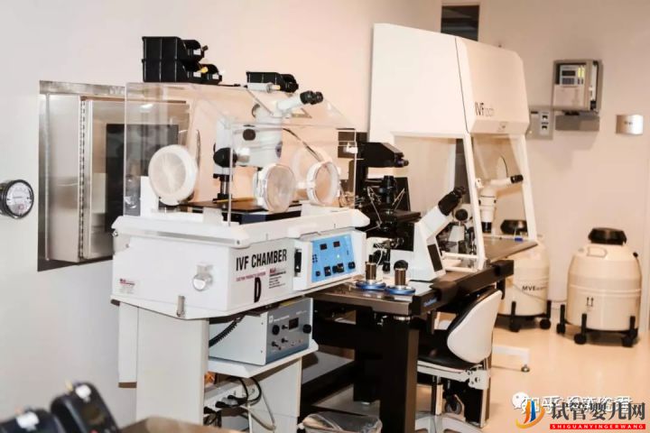 帶你全面了解美國試管嬰兒醫院醫療體系(圖3)