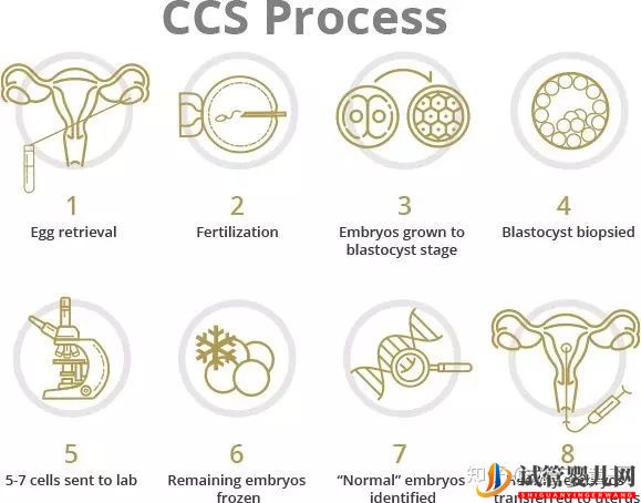 如何選擇一個美國試管嬰兒好醫院(圖4)