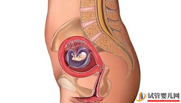 美國試管專家講解人工授精和試管嬰兒的區別(圖4)